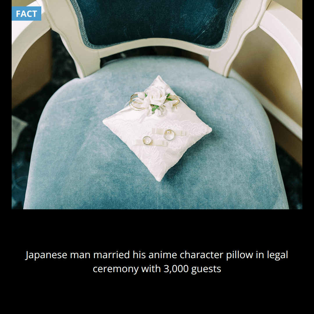 A man in Japan married his pillow in a legal ceremony with 3,000 guests because he fell in love with the anime character printed on it.