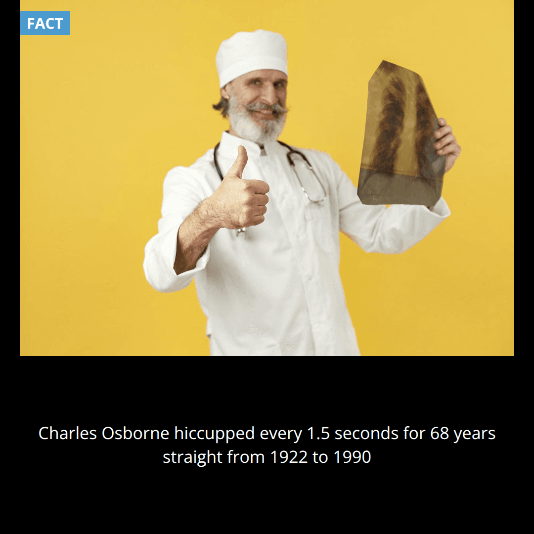 The longest hiccupping fit lasted 68 years, with Charles Osborne hiccupping every 1.5 seconds from 1922 until 1990.