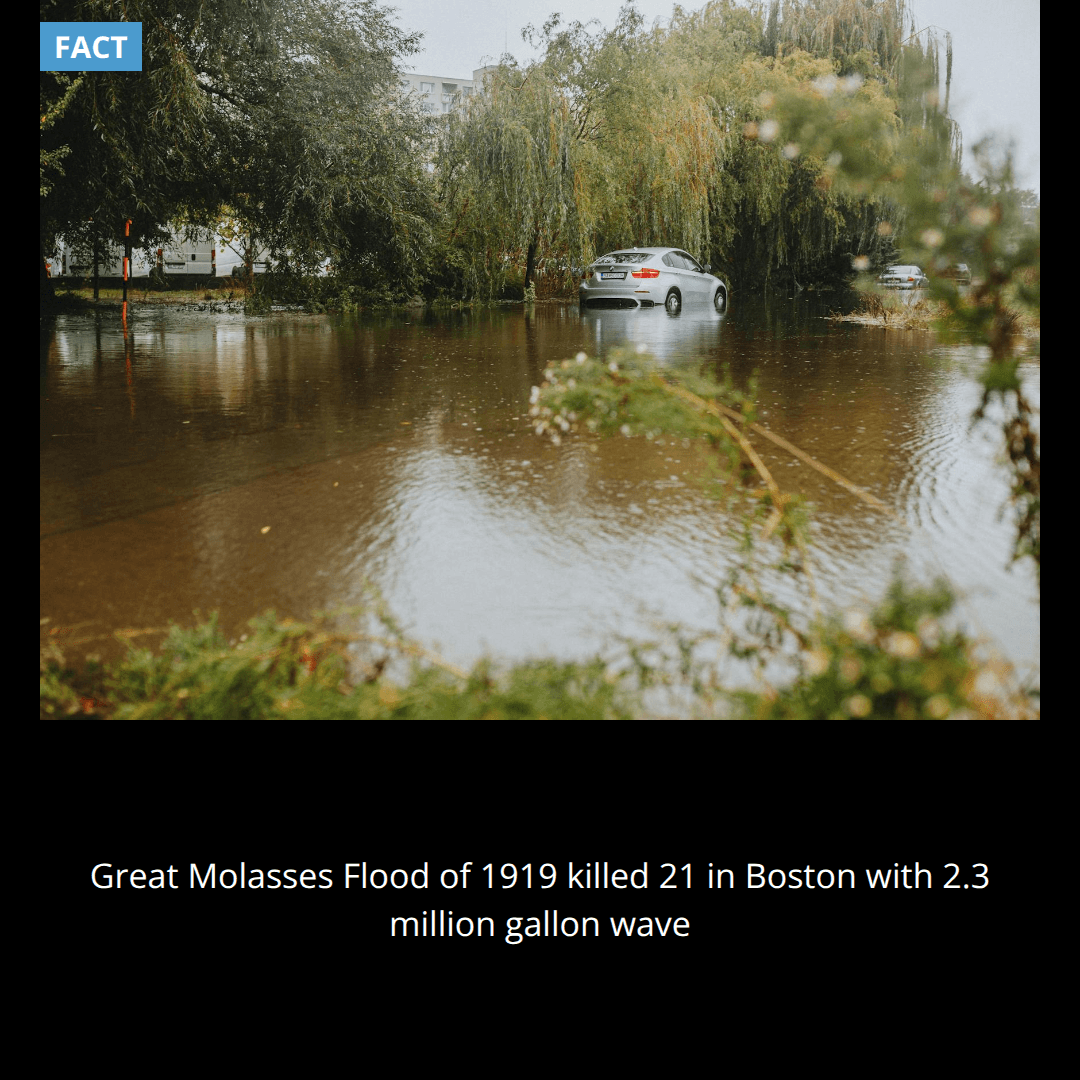 In 1919, Boston was flooded with 2.3 million gallons of molasses moving at 35 mph, killing 21 people in what became known as the Great Molasses Flood.