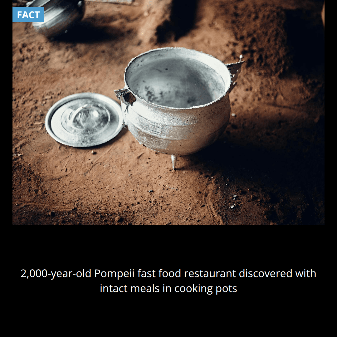 Archaeologists discovered a 2,000-year-old Roman fast food restaurant in Pompeii with intact food still in the pots when Mount Vesuvius erupted.