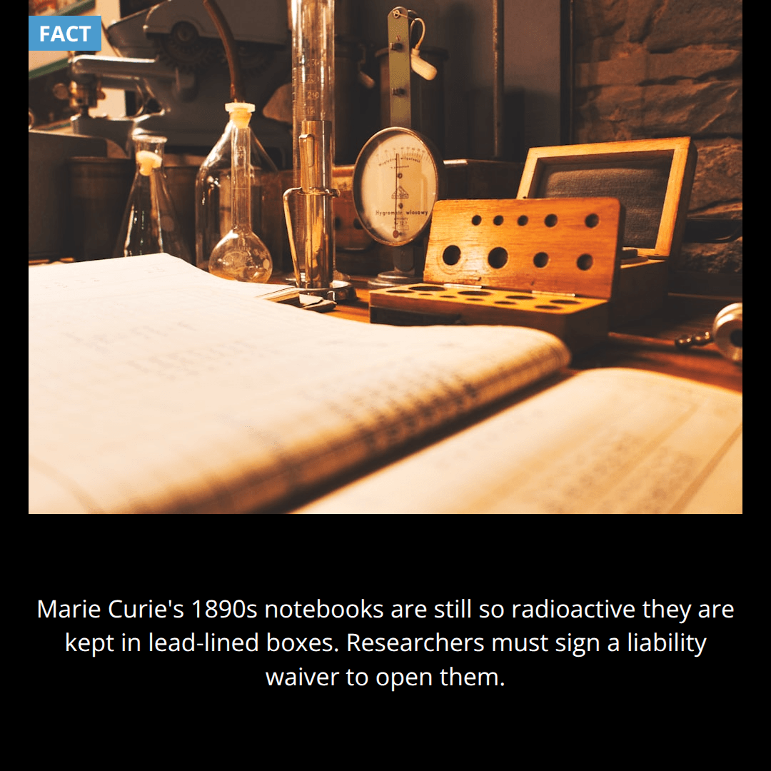 The Glowing Notebooks