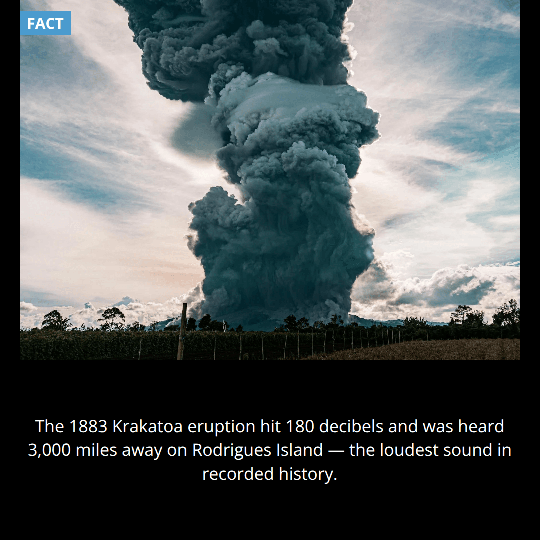 The Loudest Sound on Earth