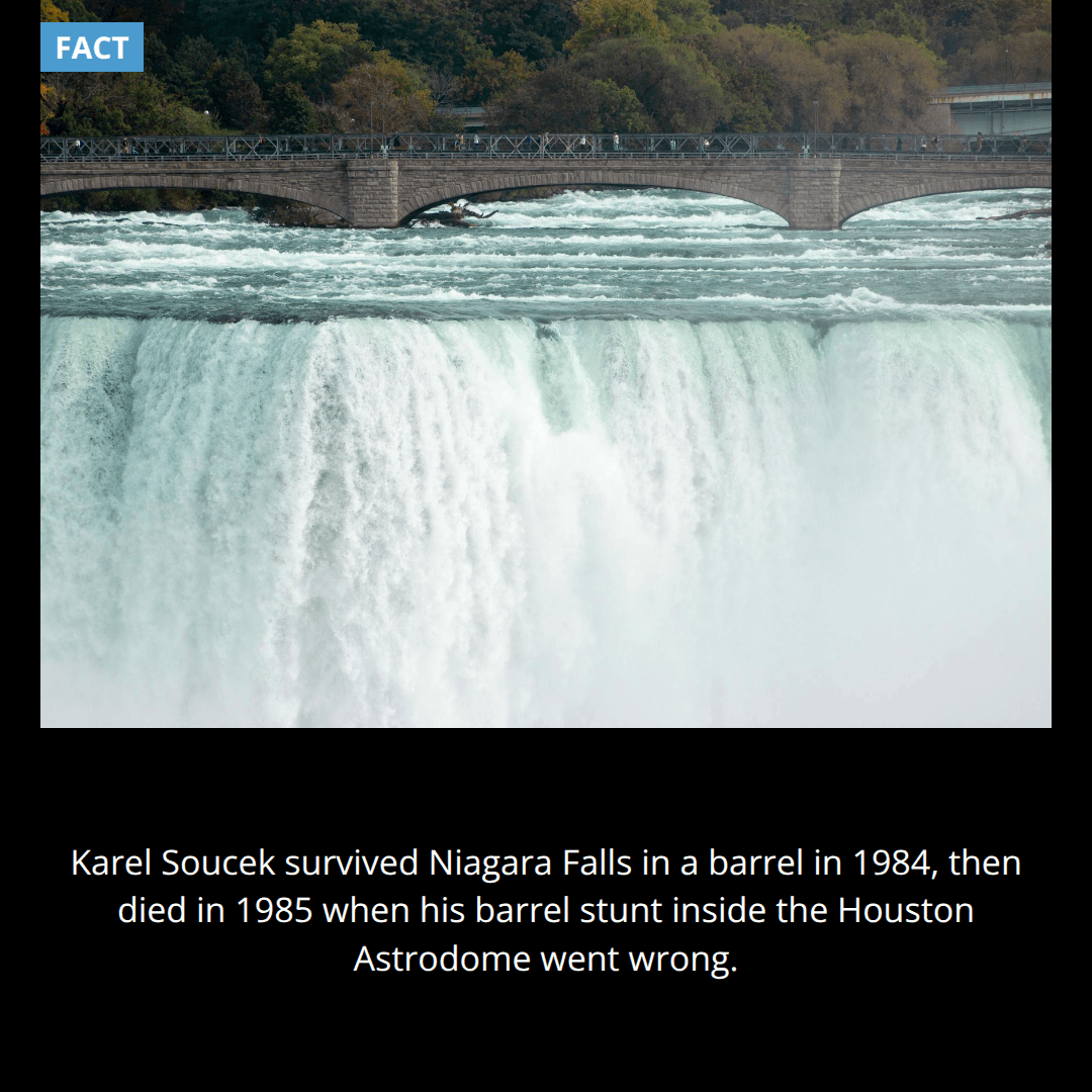 Survived the Falls, Killed by the Astrodome