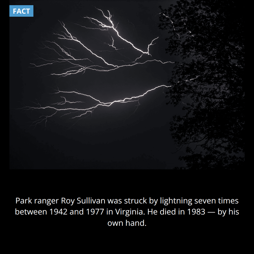 The Human Lightning Rod