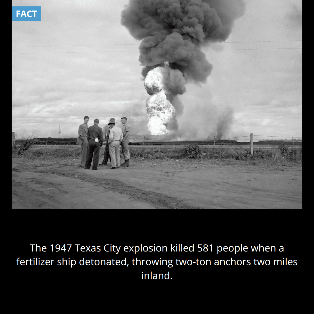 The Texas City Disaster