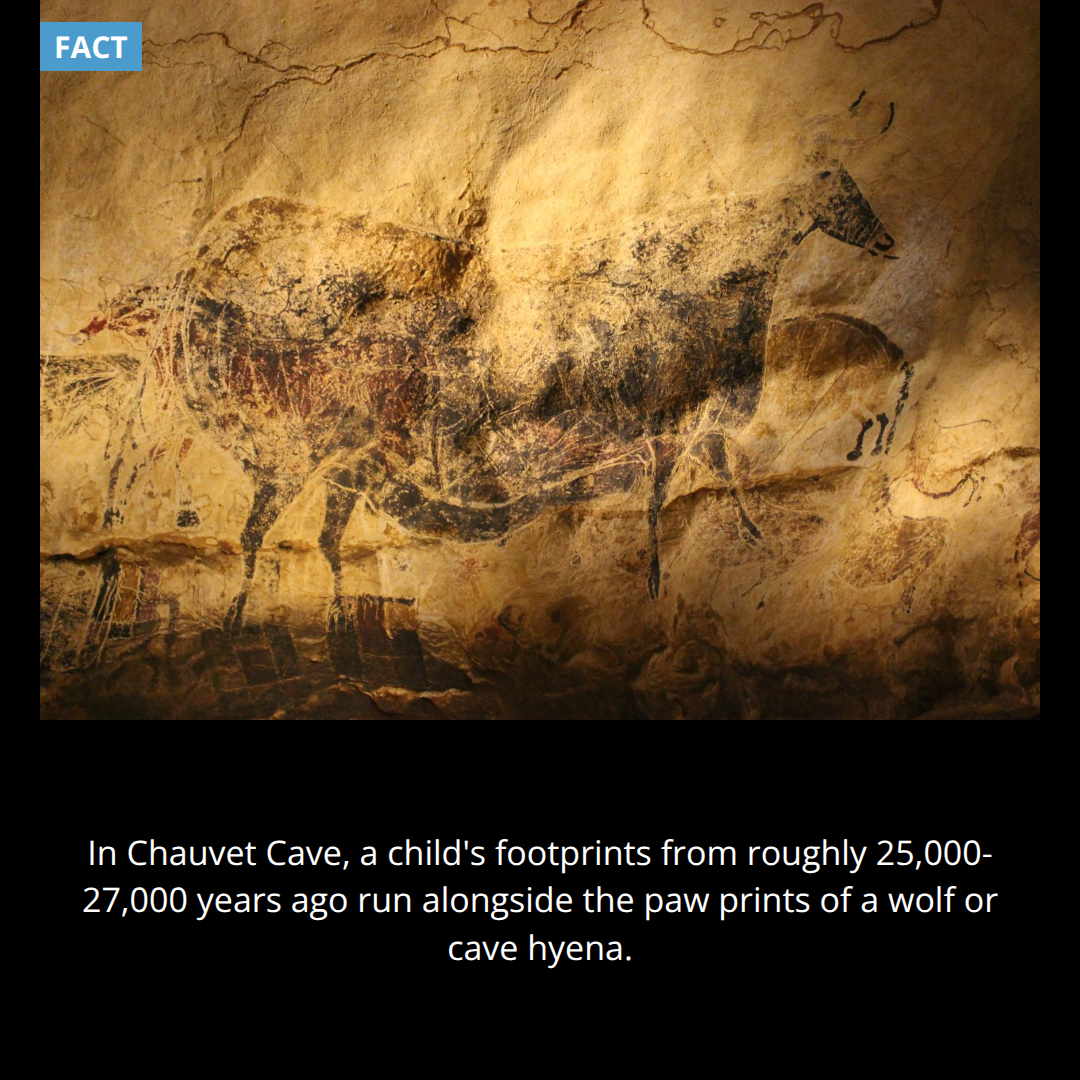 The Child and the Wolf