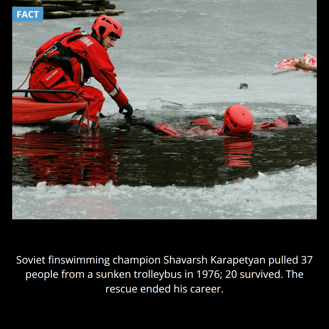 The Champion Who Saved Twenty