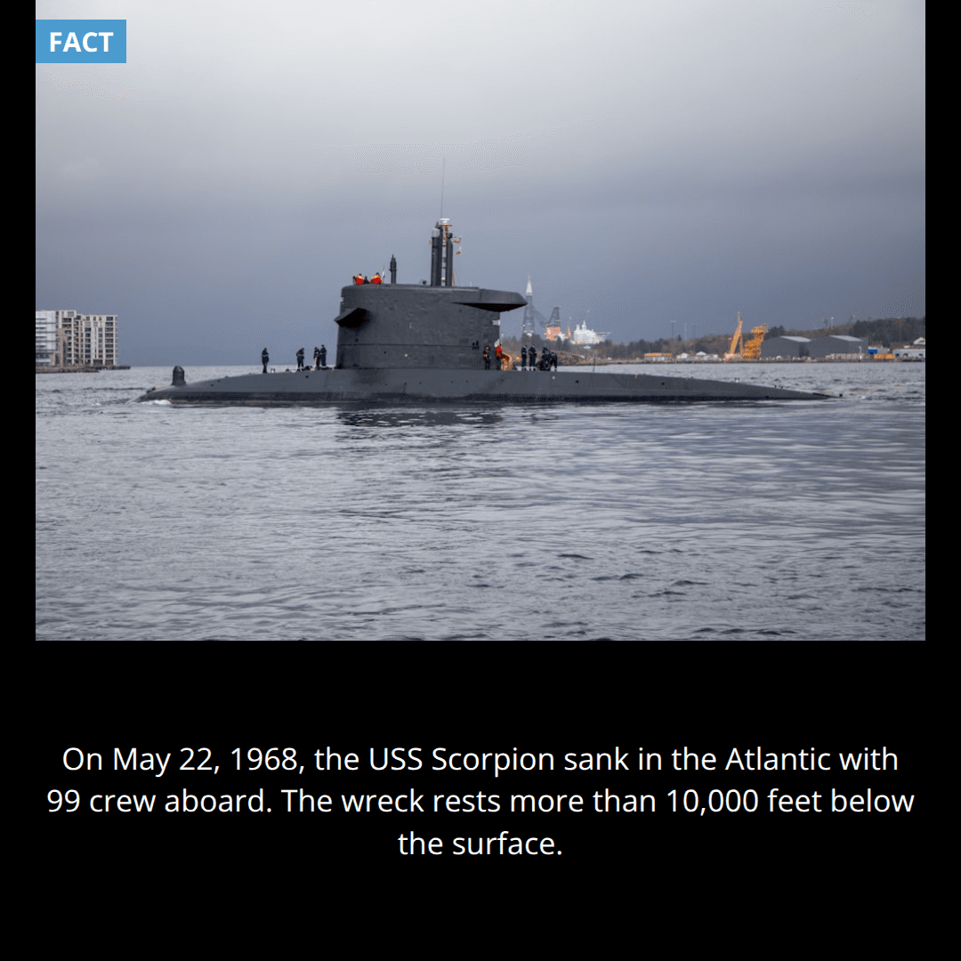 The Lost Scorpion