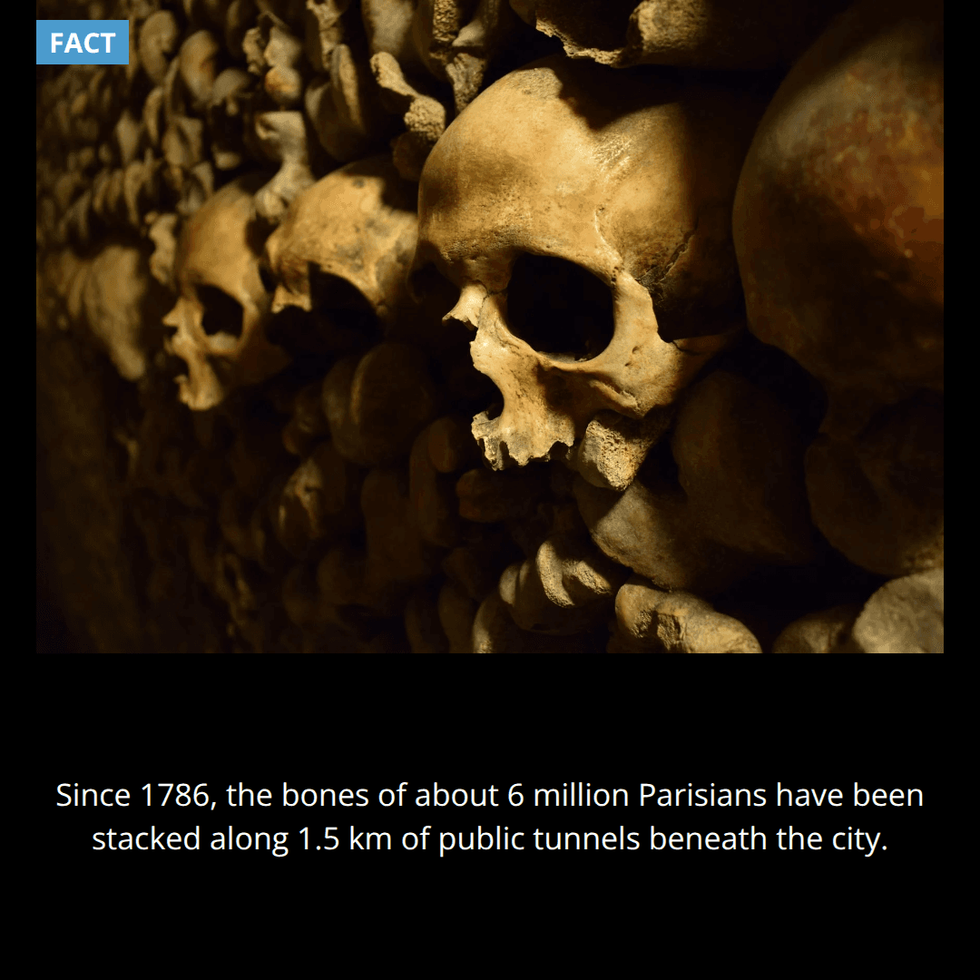 The City Beneath Paris