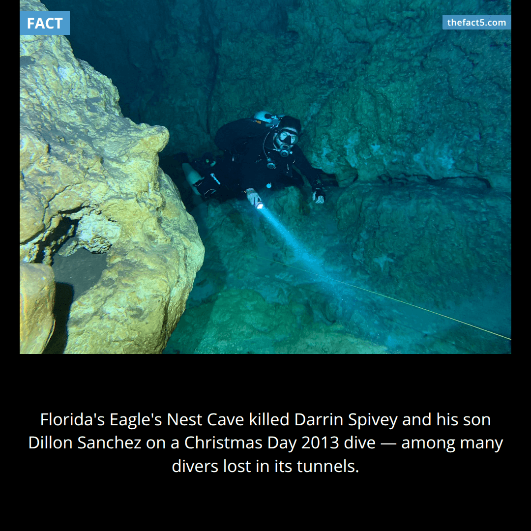 The Christmas Day Dive