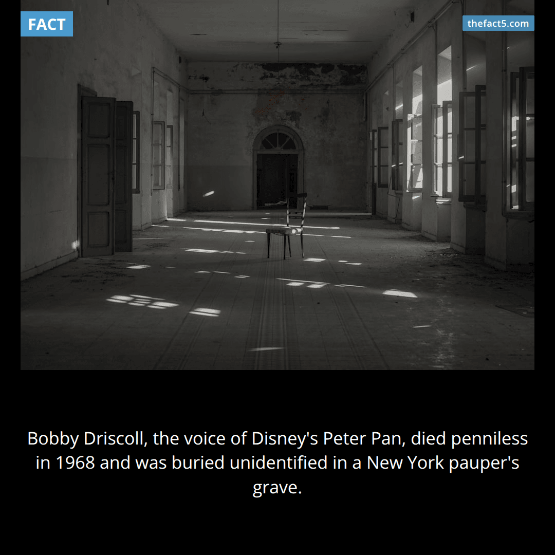 The Boy Who Wouldn't Grow Up