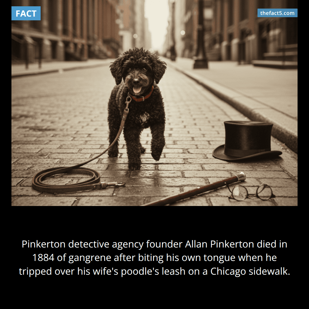 The Detective and the Sidewalk