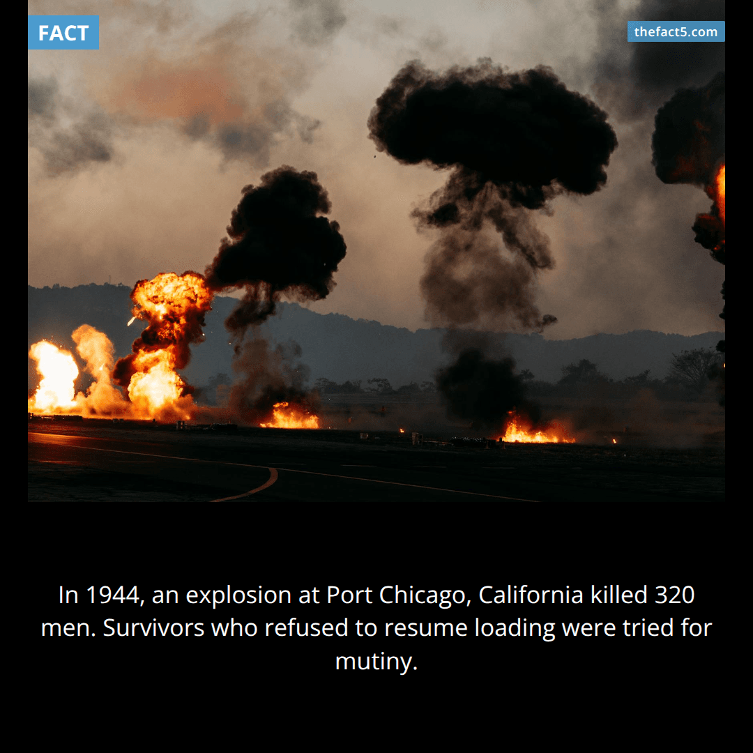 The Port Chicago Disaster