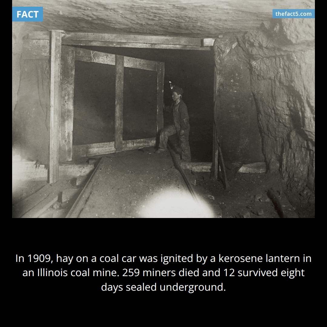 The Cherry Mine Fire