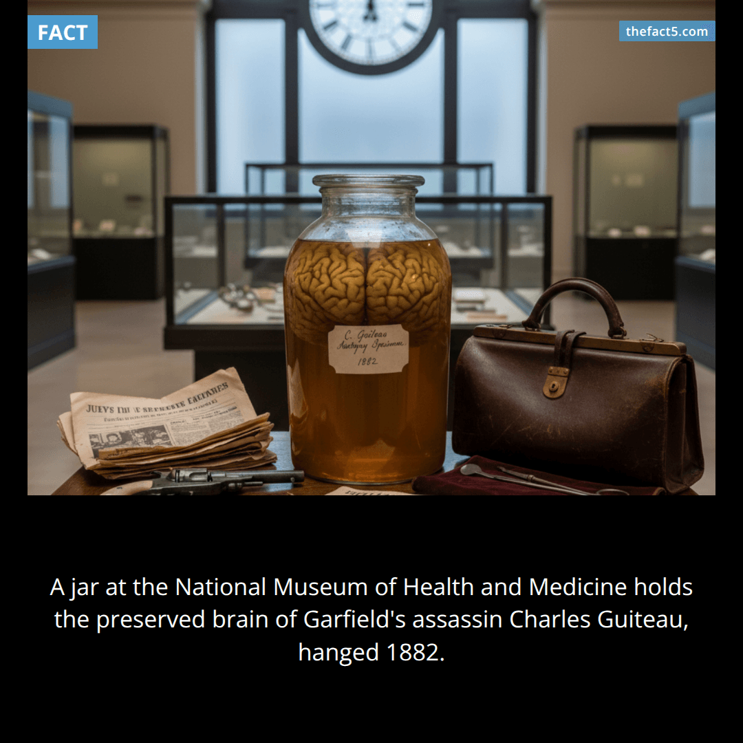 Jar 1881