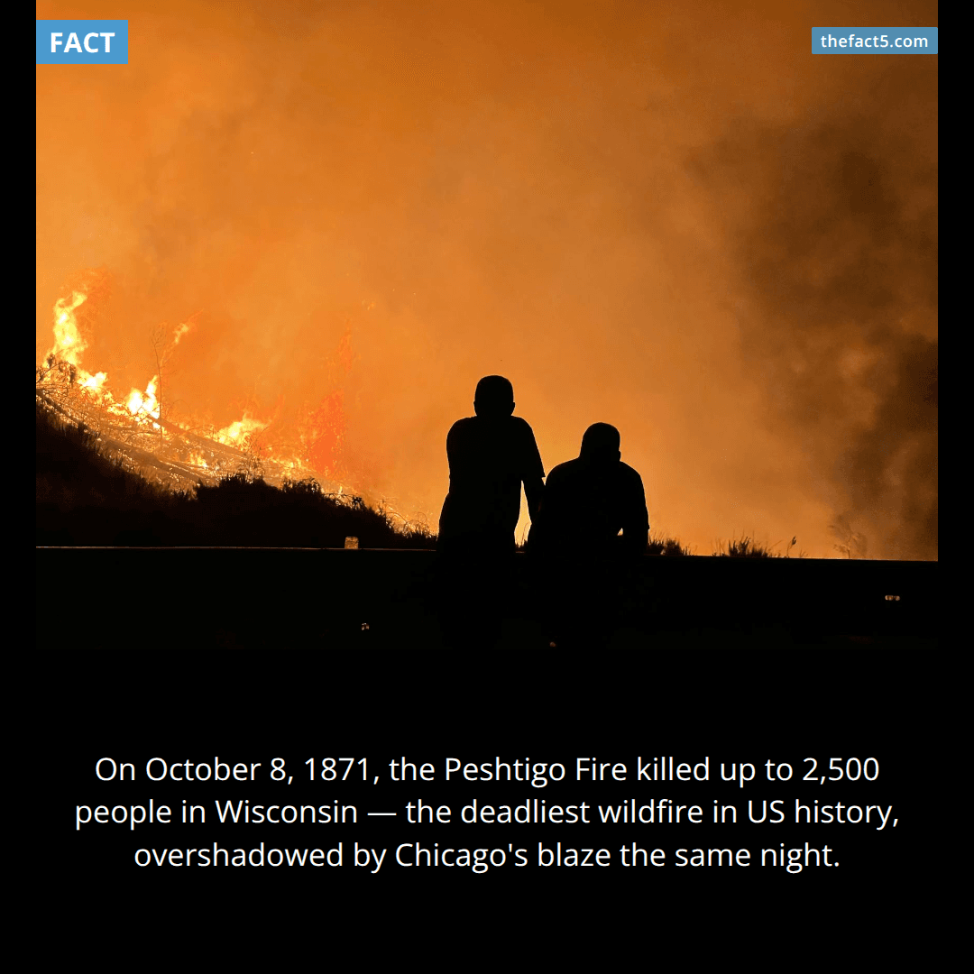 The Fire America Forgot