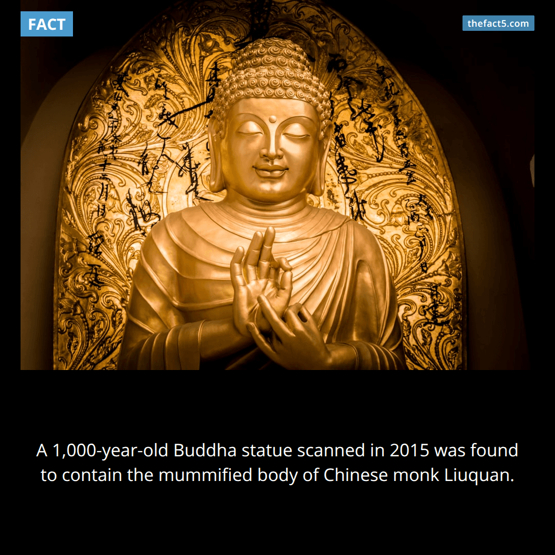 The Mummy in the Buddha