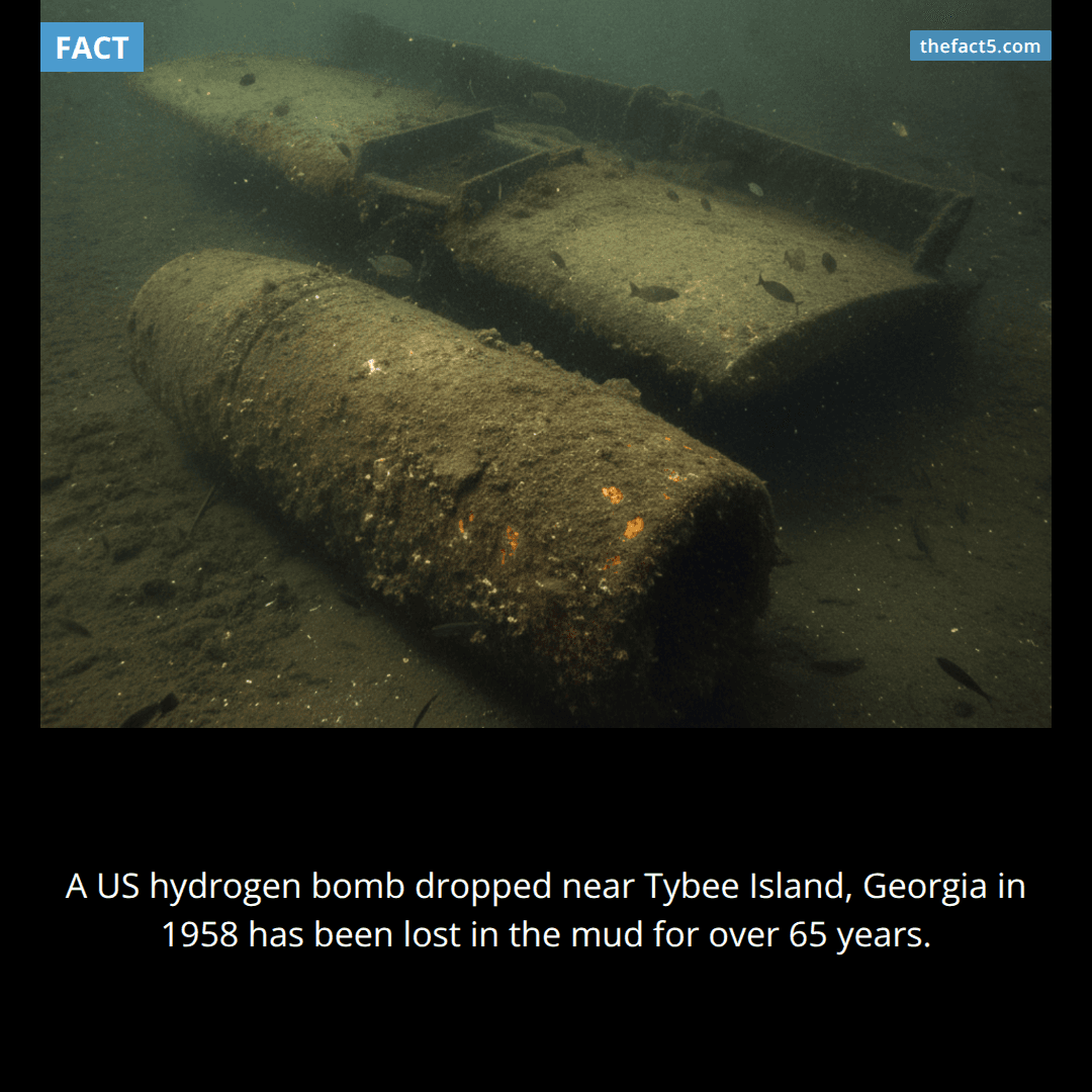 The Lost Tybee Bomb