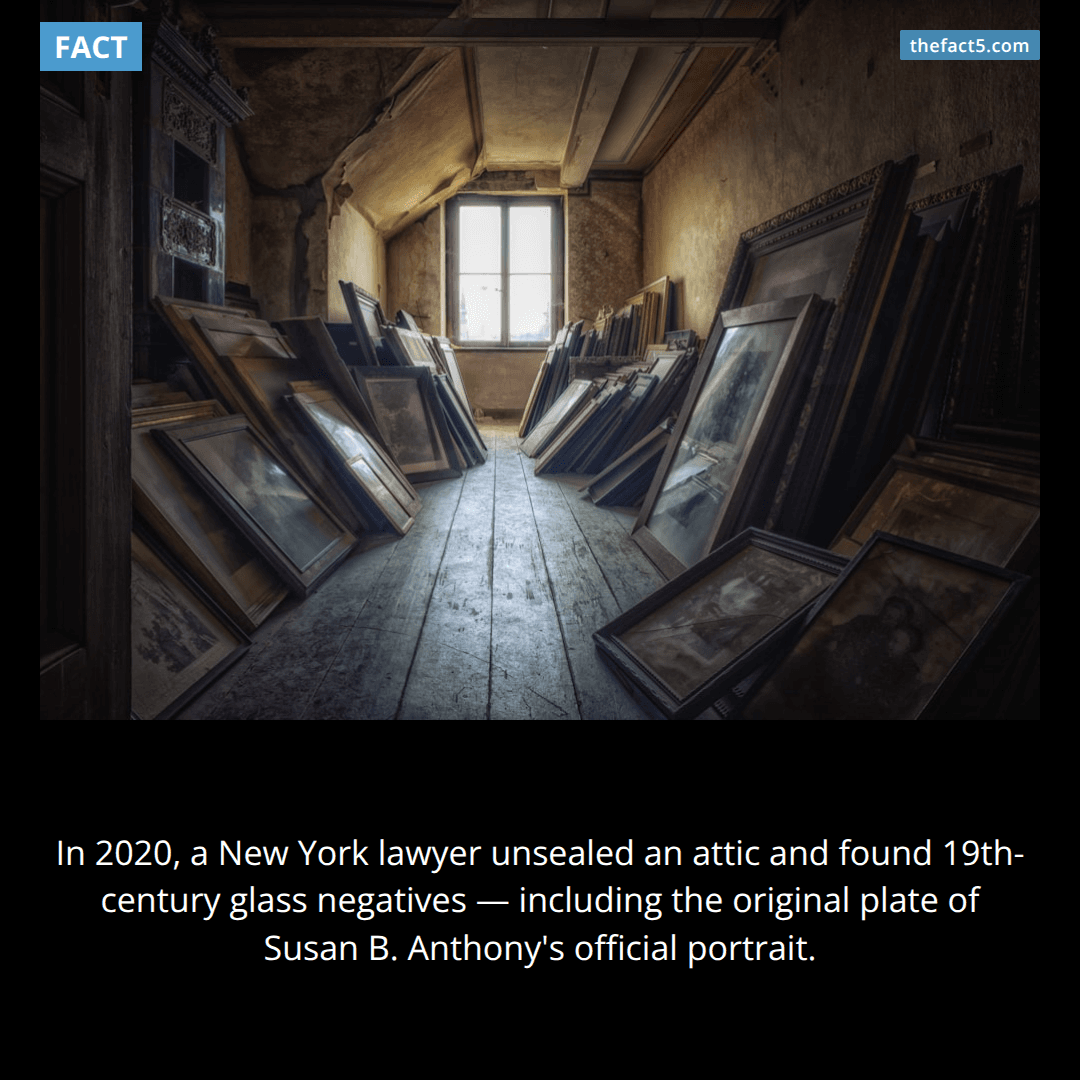 The Sealed Attic