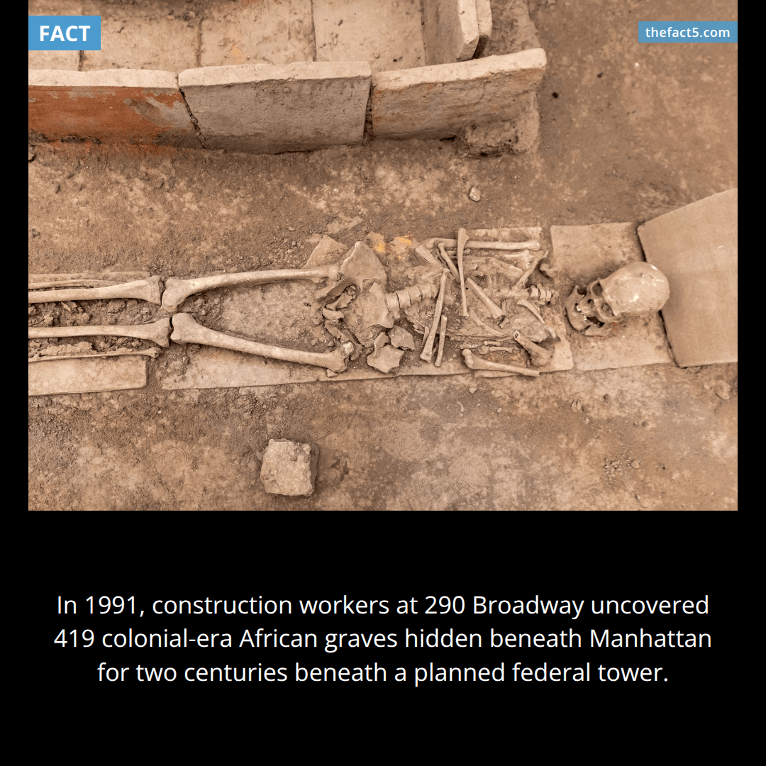 The Office Tower's Foundation