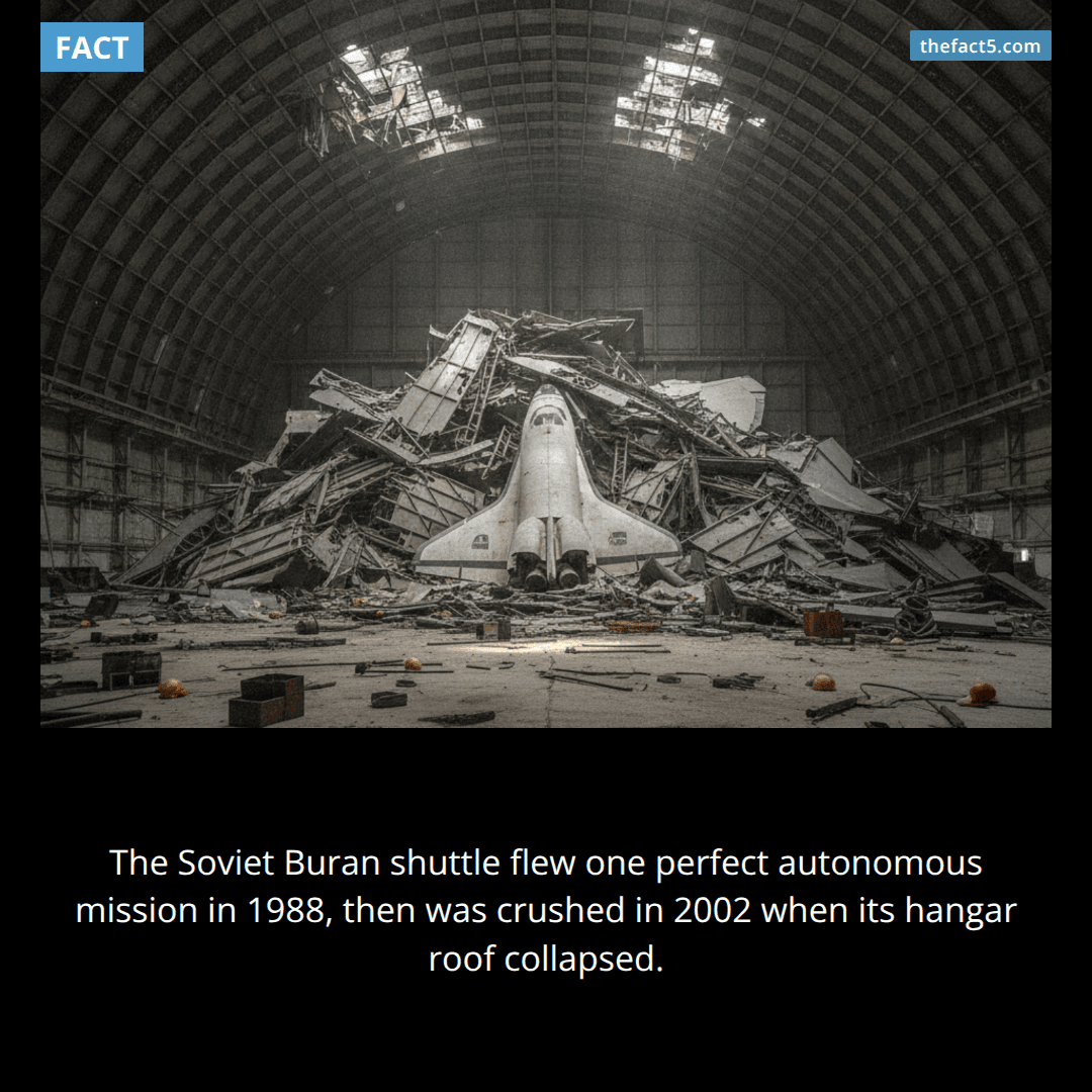 The Shuttle That Outflew Its Hangar
