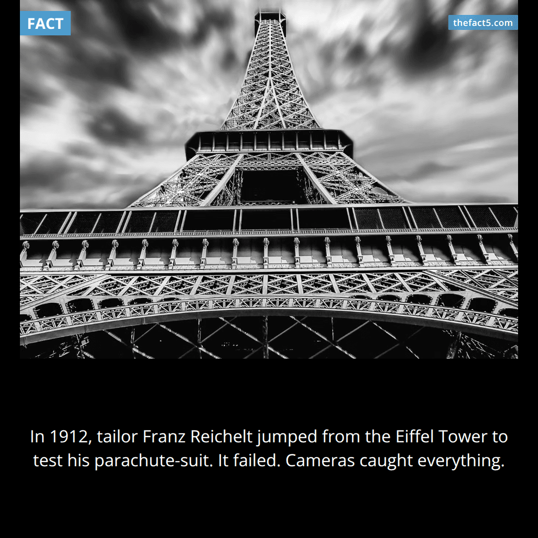 The Flying Tailor