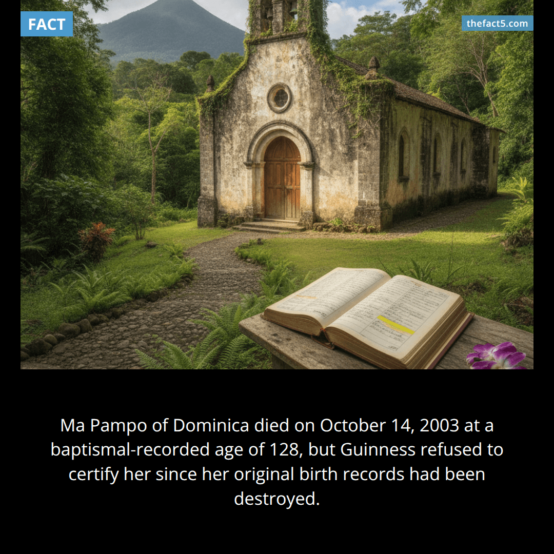 The Woman Who Outlived Her Records