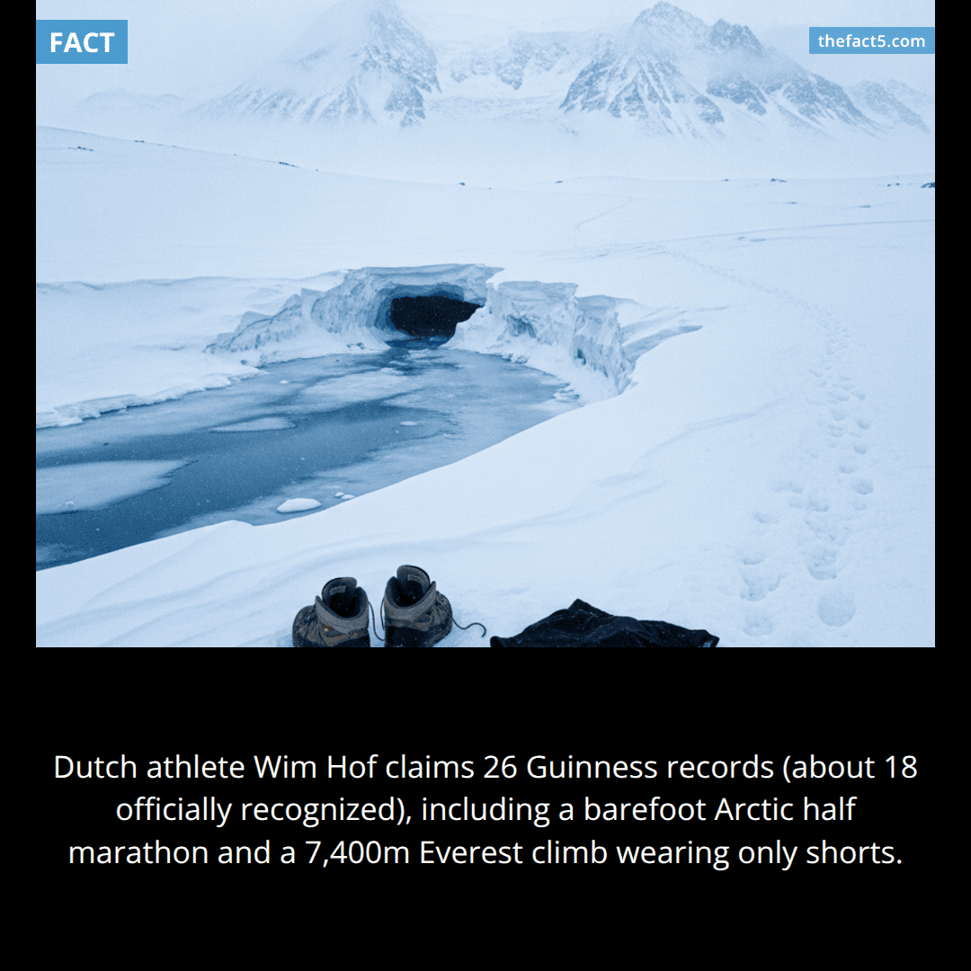 The Iceman's Arctic Half Marathon