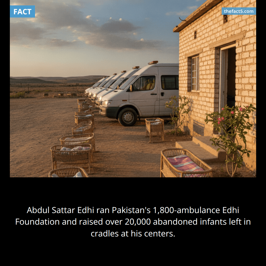 The Man With 1,800 Ambulances