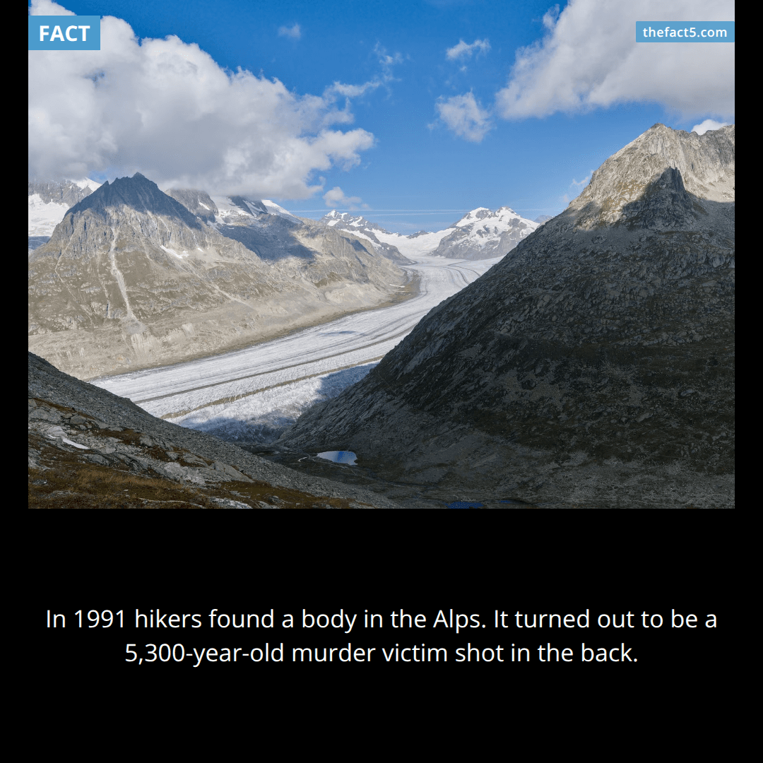 The 5,300-Year-Old Murder Victim