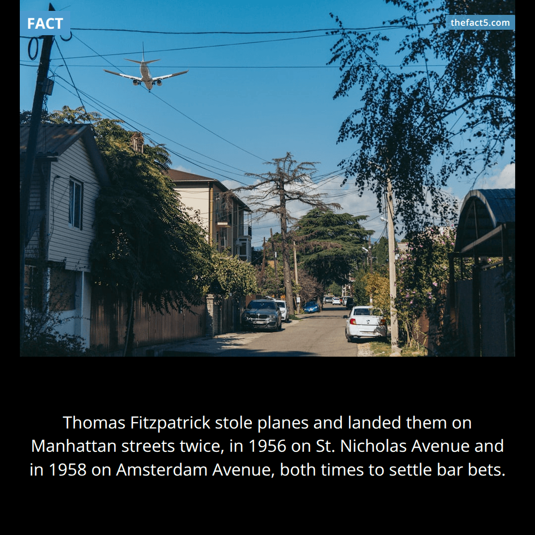 The Man Who Landed Twice
