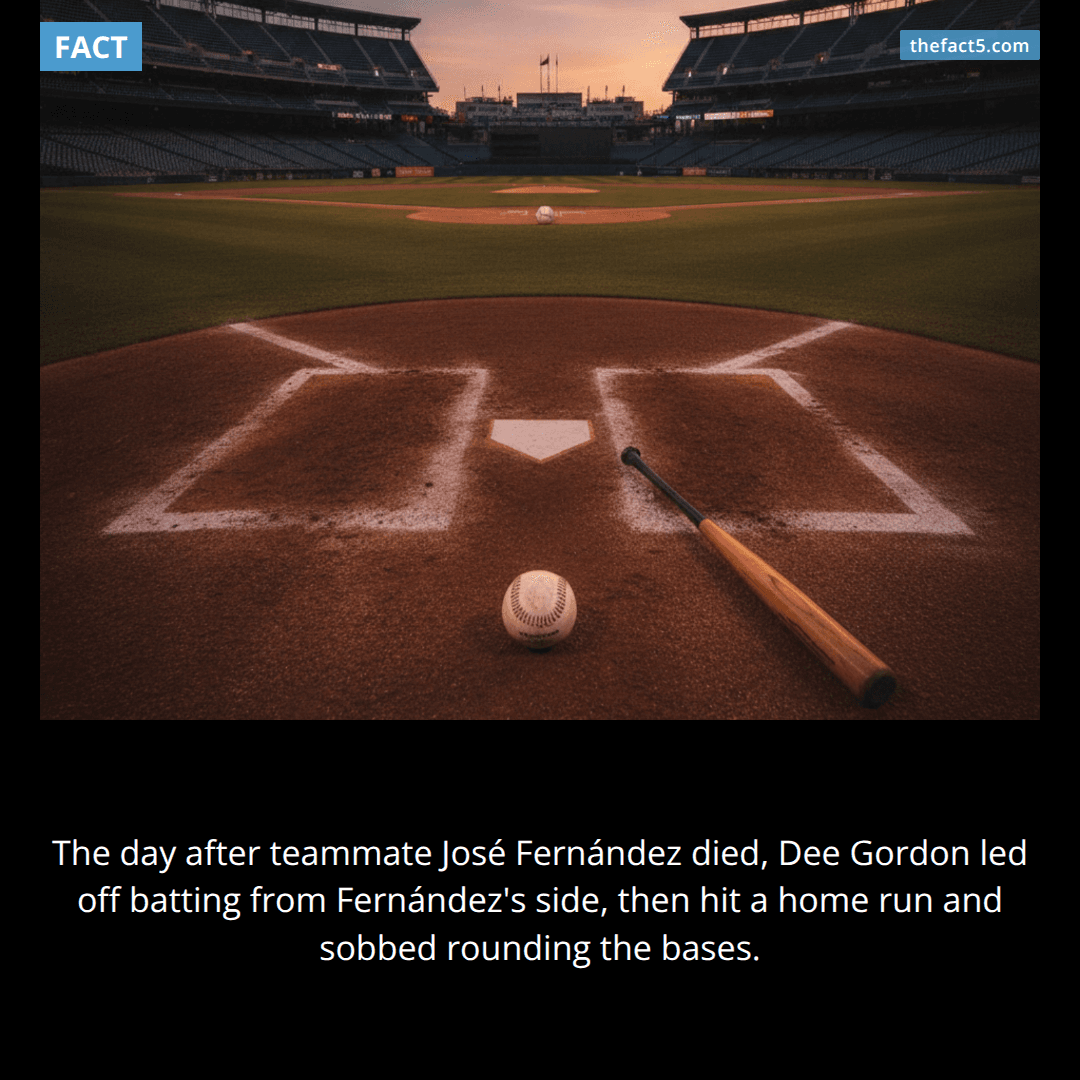 The Home Run for José