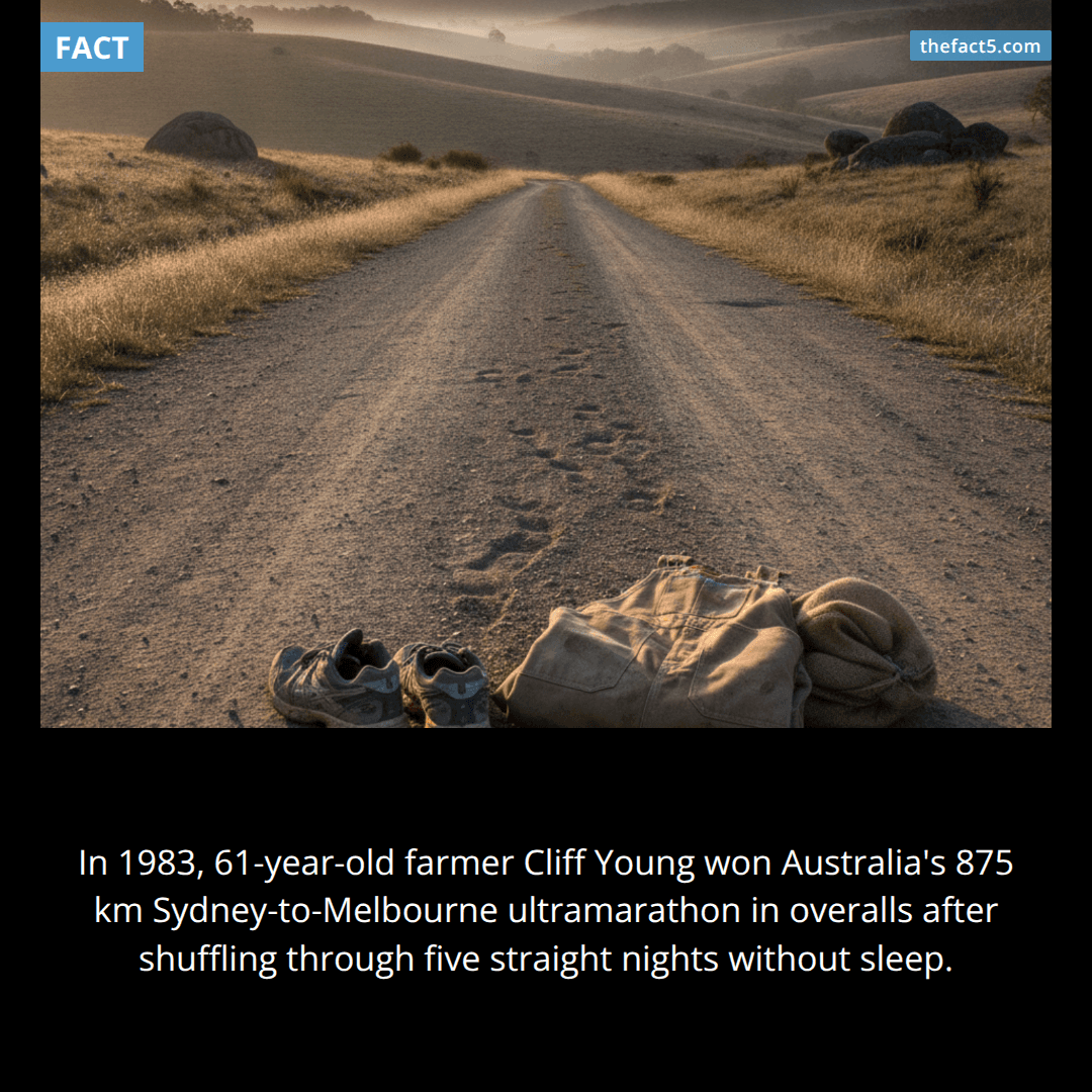 The Farmer Who Shuffled Through the Night