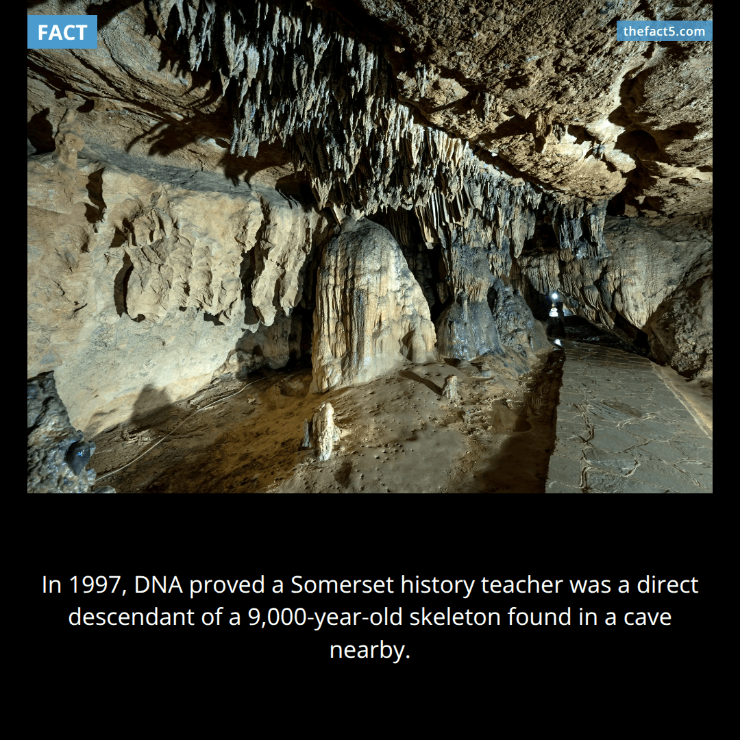 The Teacher and His 9,000-Year-Old Cousin