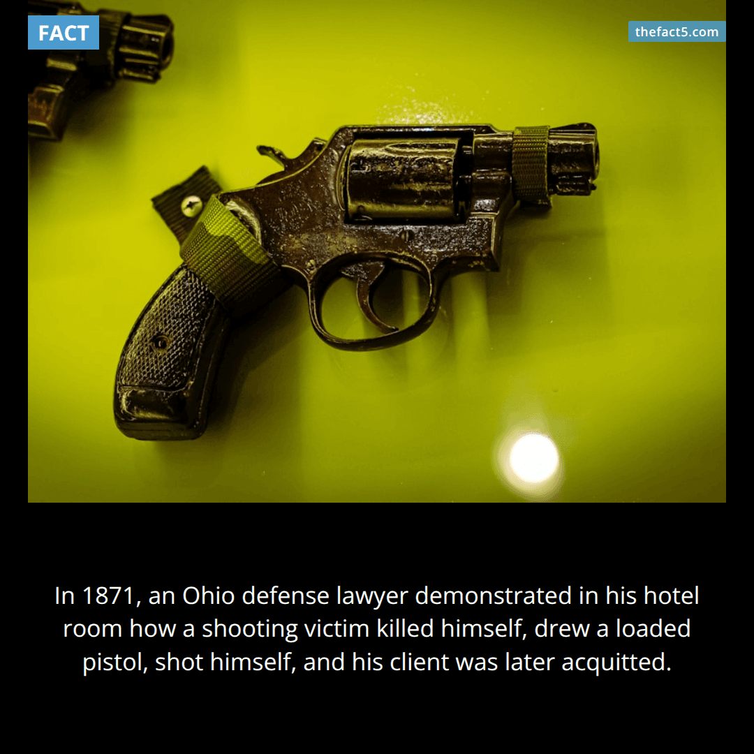 The Lawyer Who Proved His Case