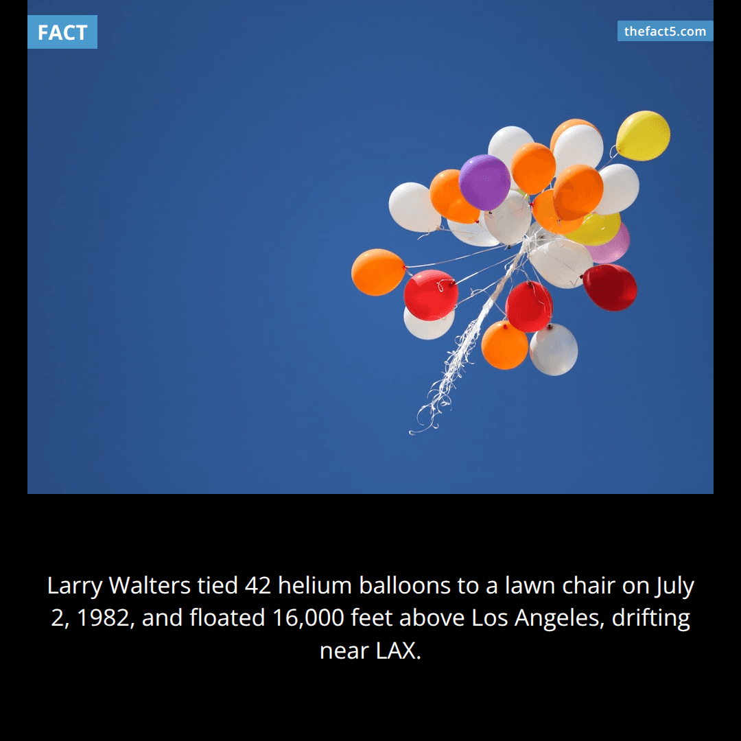 Lawnchair Larry