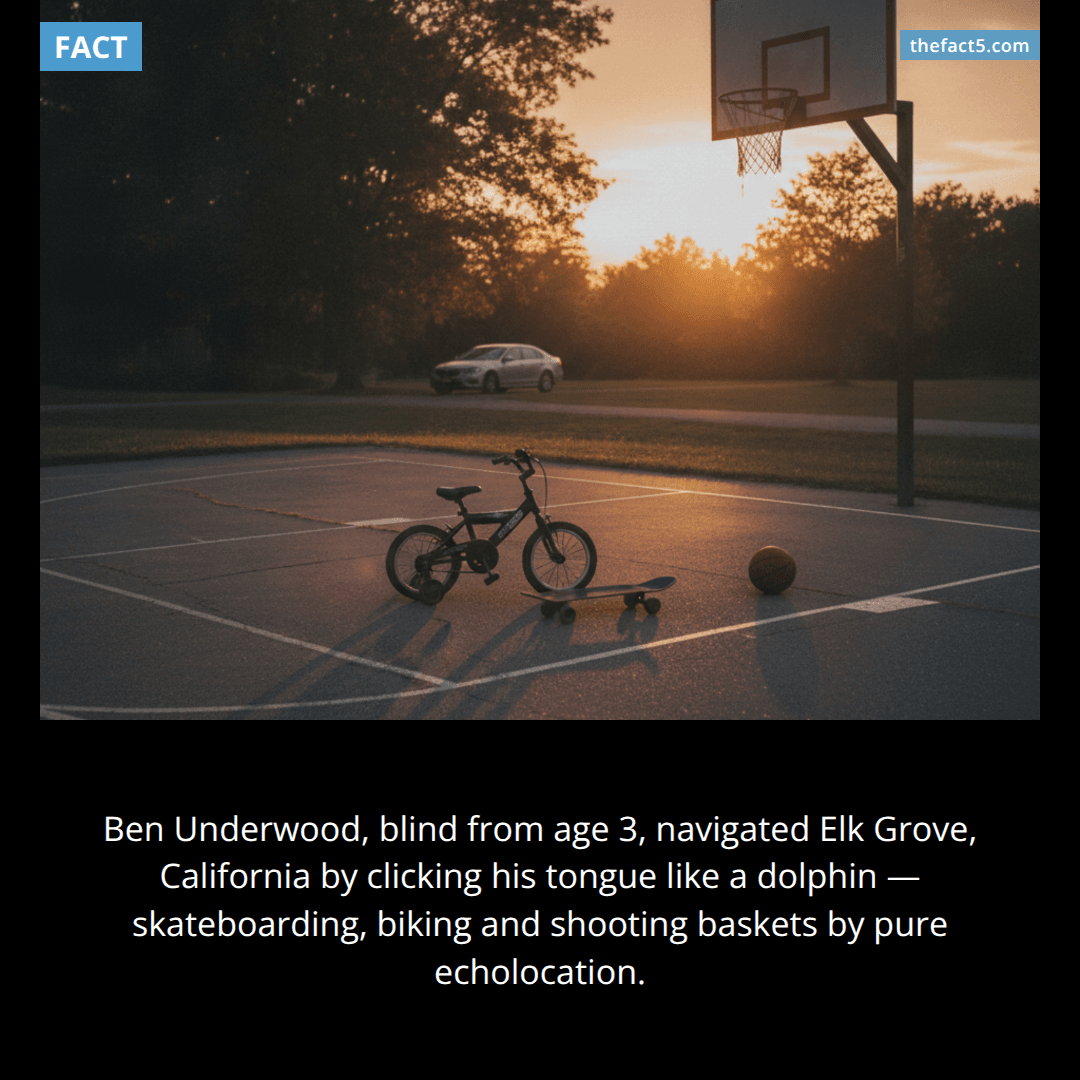 Ben Underwood, a boy from Elk Grove, California who was diagnosed with retinal cancer at age two and had both eyes removed at age three, taught himself to navigate the world by human echolocation — clicking his tongue and interpreting the returning sound — and could ride a bicycle, skateboard, shoot baskets, and identify parked cars by clicking, until his death from the same cancer on January 19, 2009 at age 16.