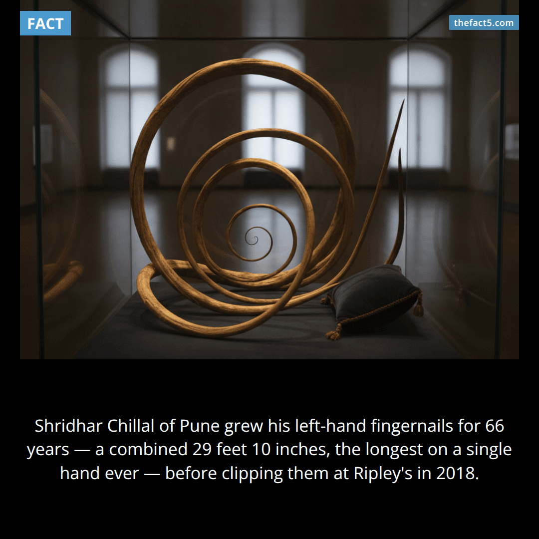 The 66-Year Fingernails