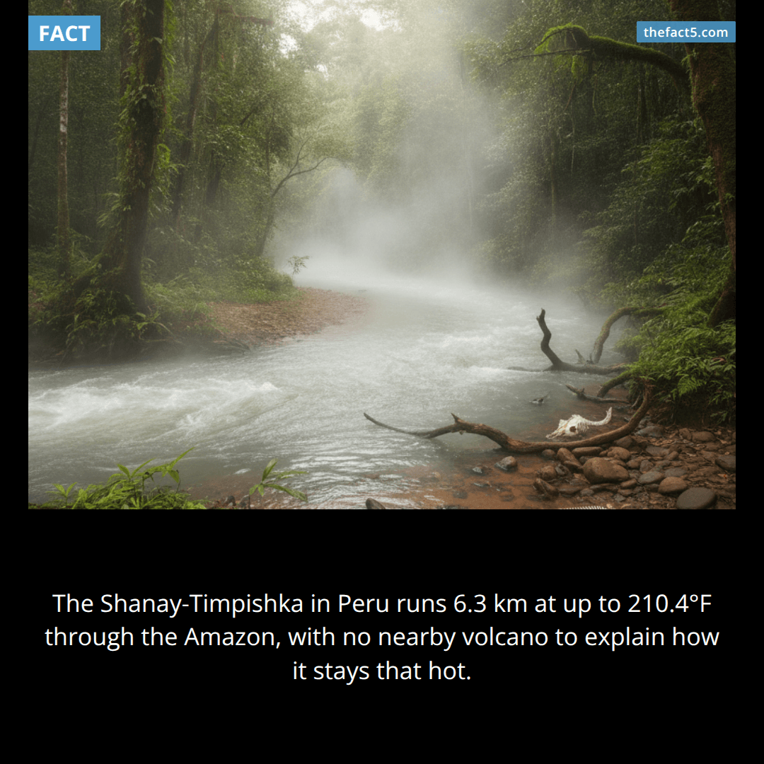 There is a river in the Amazon that boils you alive. 🔥