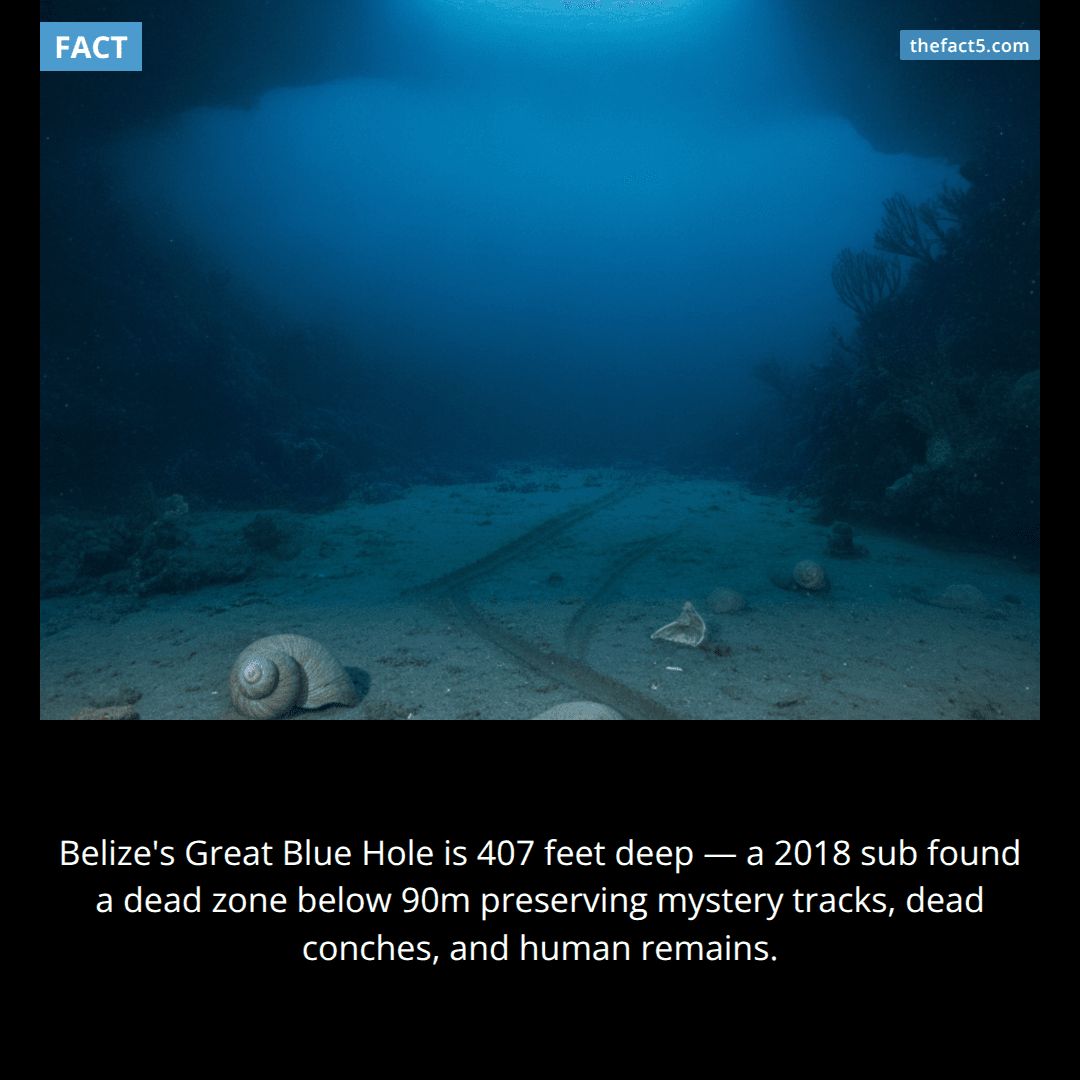 There is a hole in the ocean where nothing living exists past 90 meters 🕳️