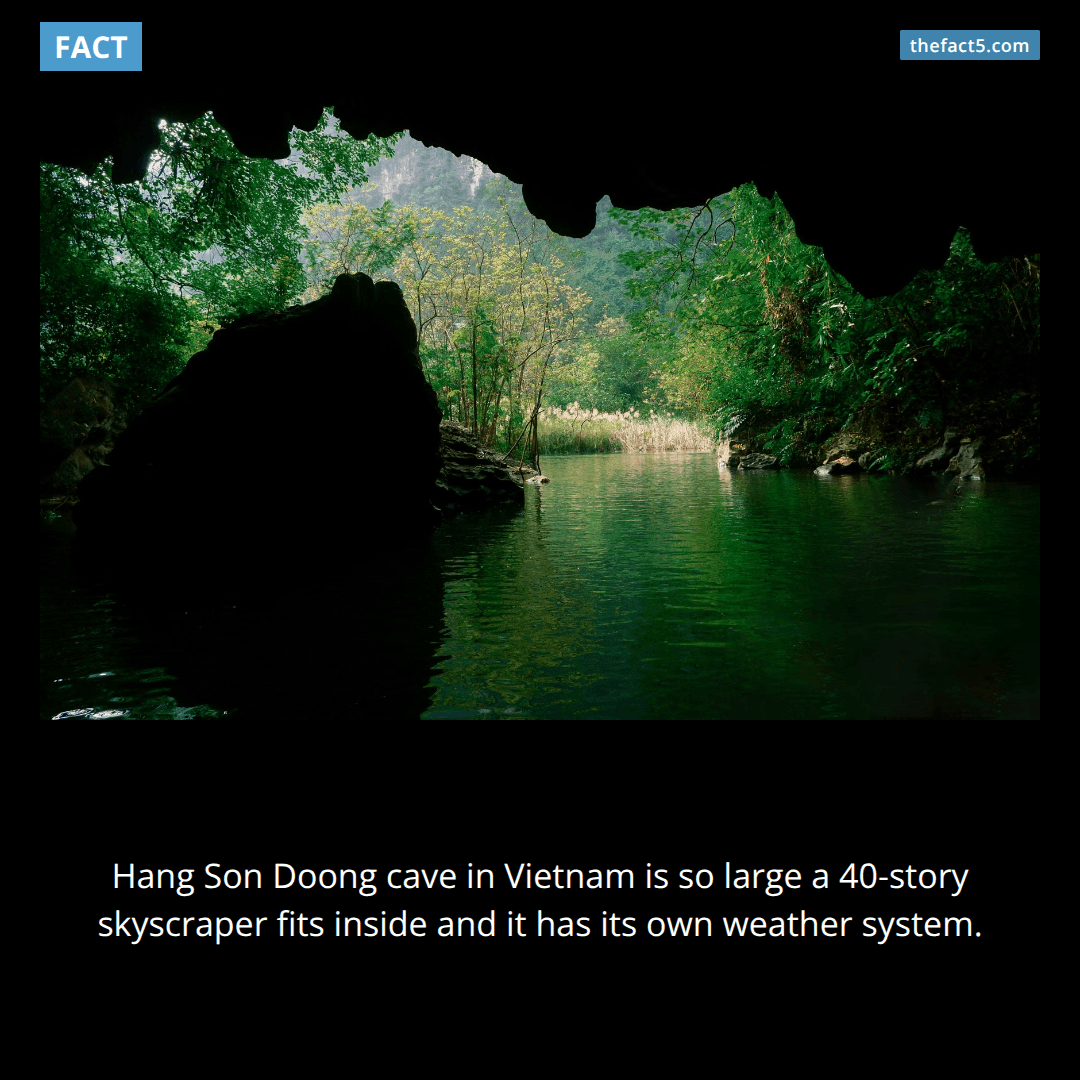 A Vietnamese cave is tall enough to hide a 40-story skyscraper. 🏙️