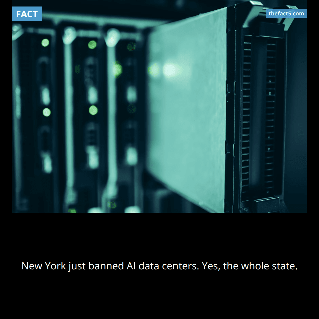 On July 14, 2026, New York became the first U.S. state to ban construction of new hyperscale AI data centers — the very infrastructure every tech giant is racing to build.