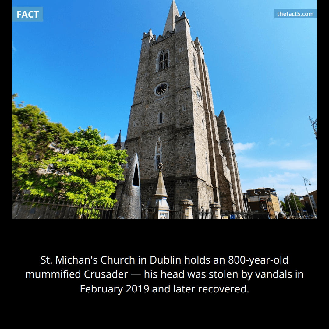 A Crusader has been mummifying in a Dublin crypt for 800 years. ⚰️