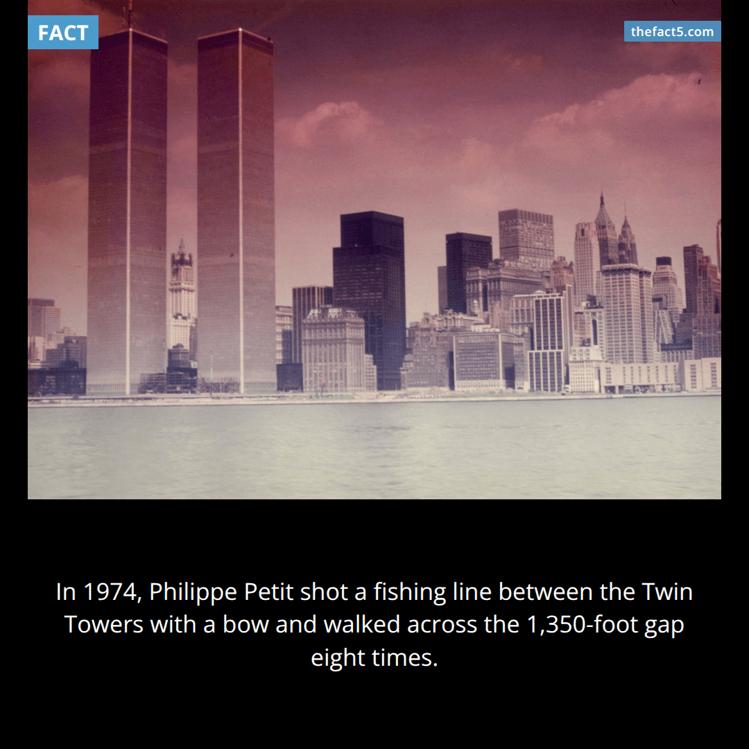 He shot a fishing line between the Twin Towers with a bow and arrow. 🎯