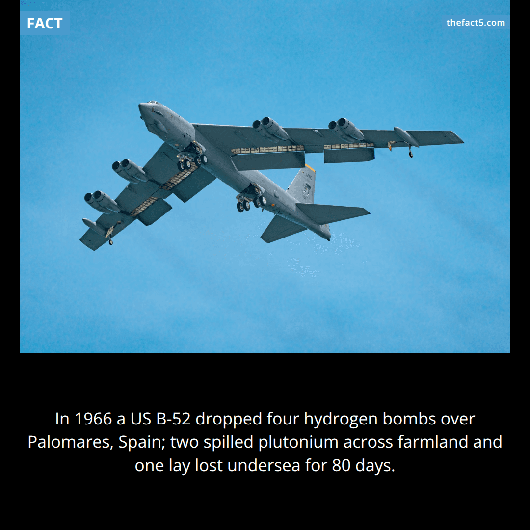 Spain lost a hydrogen bomb in a tomato field. 🍅