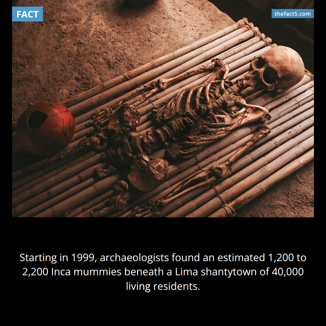 A Lima shantytown was built on top of thousands of mummies. ⚱️