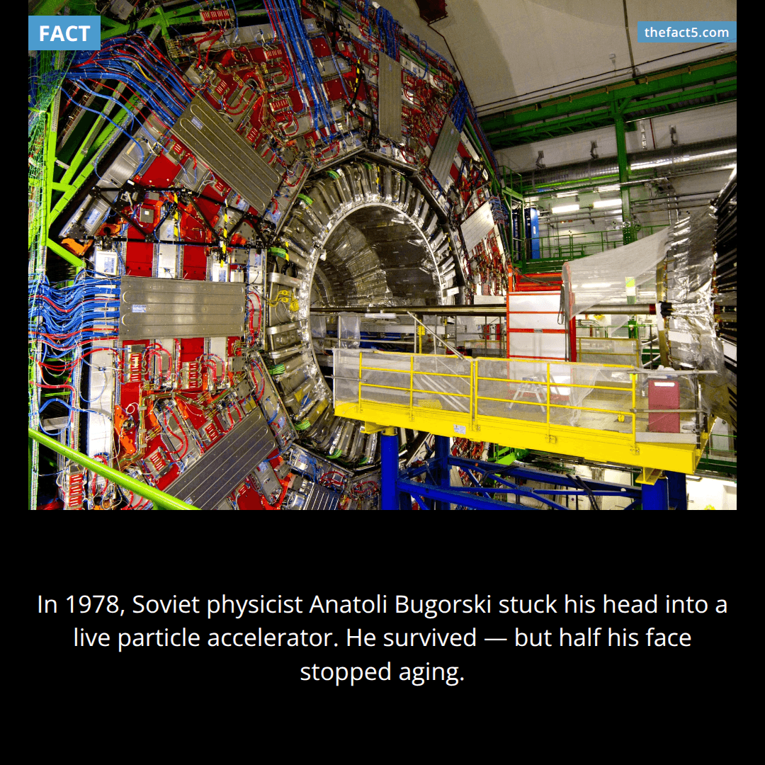 A proton beam went through a scientist's head — and he lived. 🧠