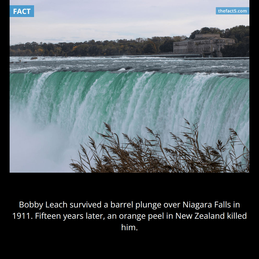 He survived Niagara Falls in a barrel. An orange peel killed him. 🍊