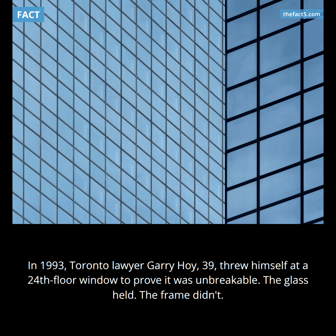 He threw himself at the window to prove it was unbreakable. 🪟