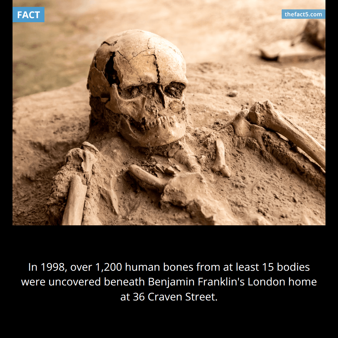 Benjamin Franklin had 1,200 human bones buried under his London house. 💀